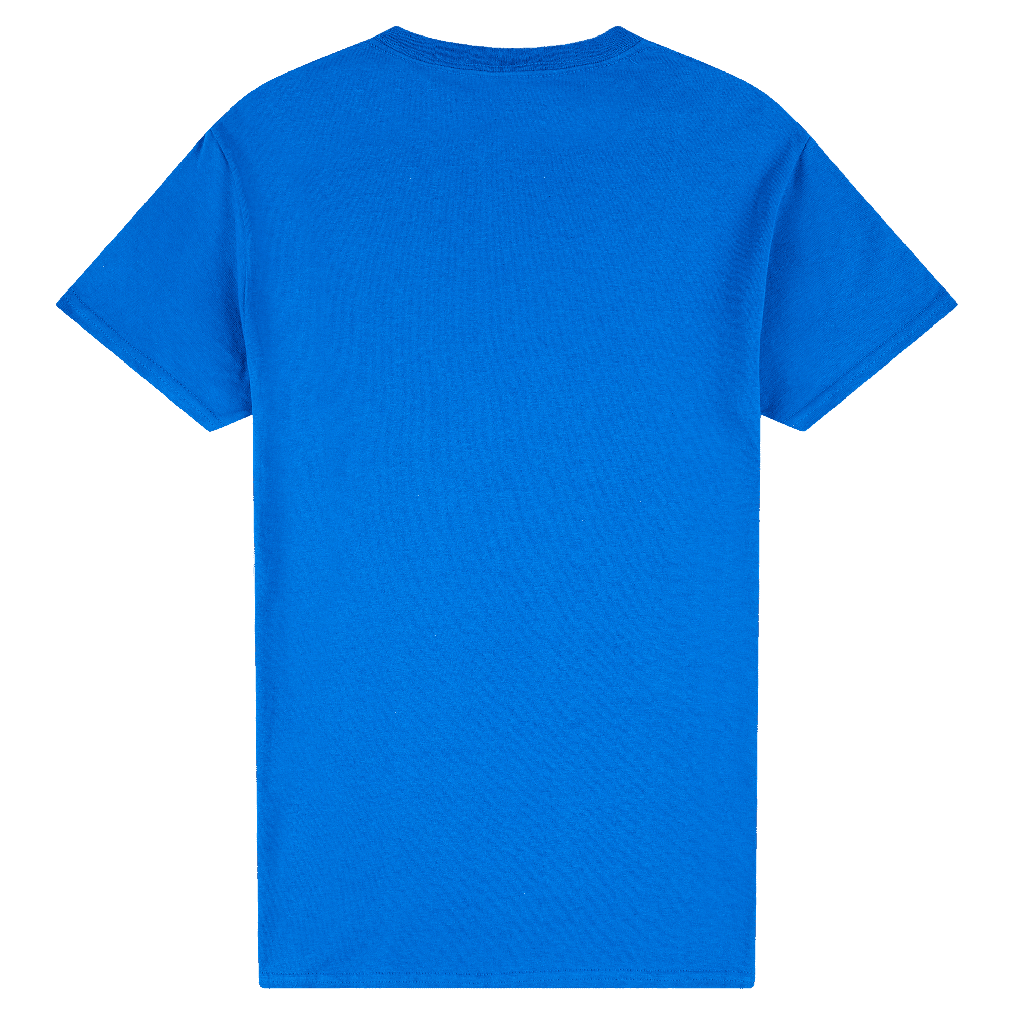 2000 Gildan Ultra Cotton Adult T-Shirt