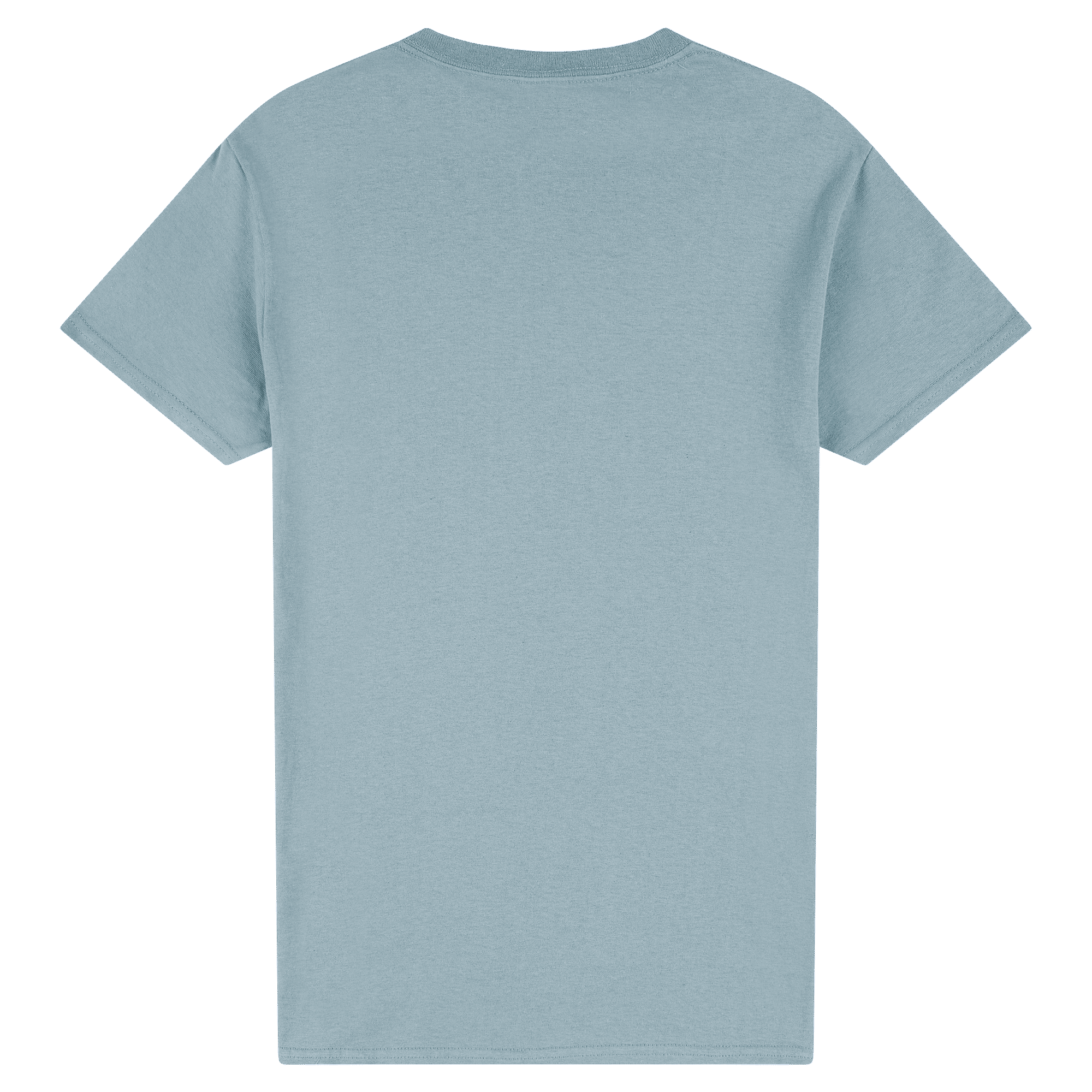 2000 Gildan Ultra Cotton Adult T-Shirt
