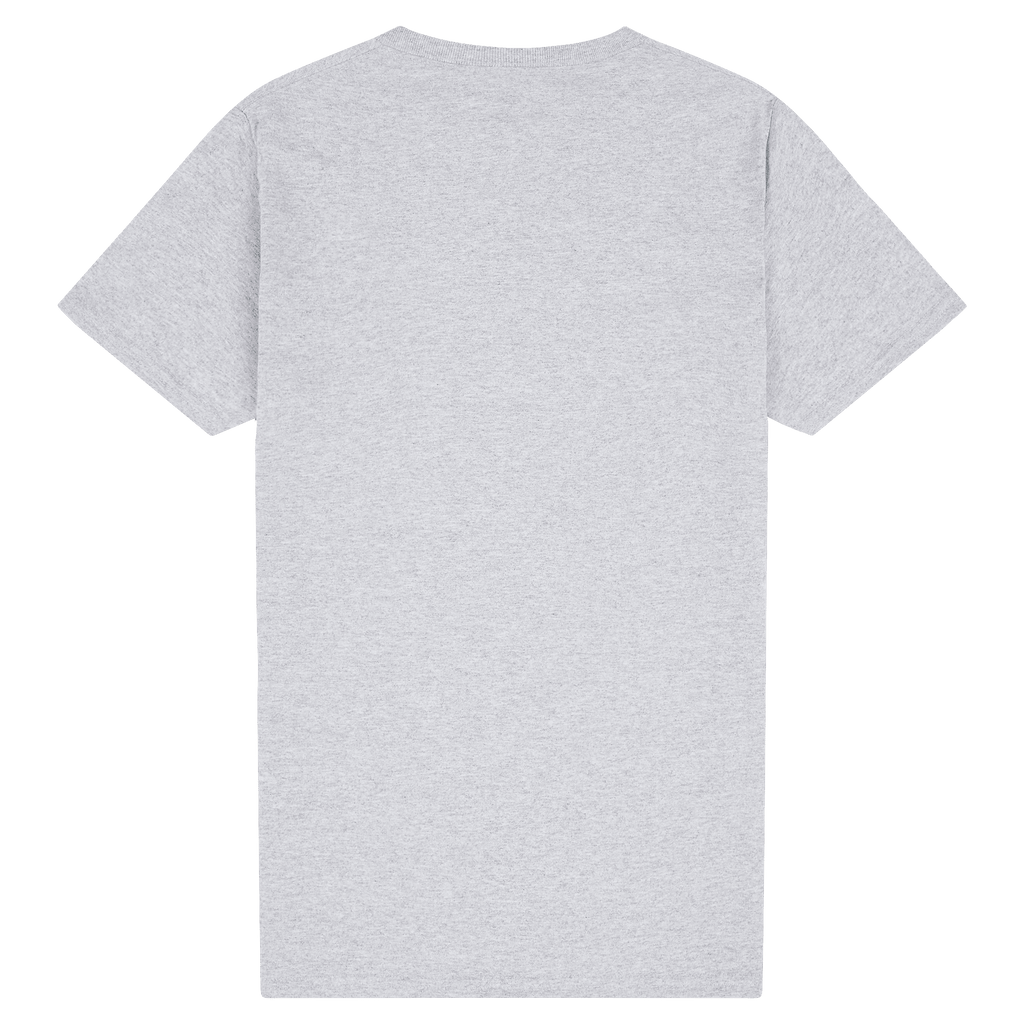 2000 Gildan Ultra Cotton Adult T-Shirt
