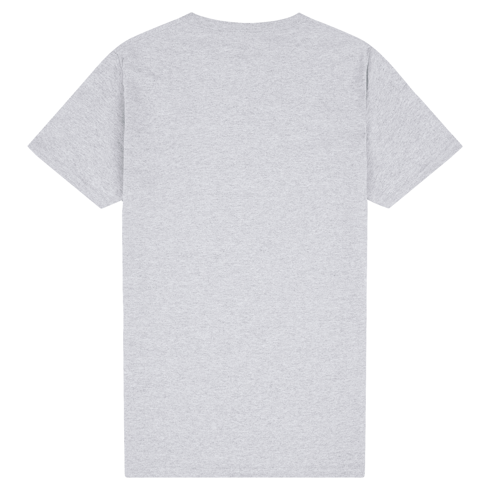 2000 Gildan Ultra Cotton Adult T-Shirt