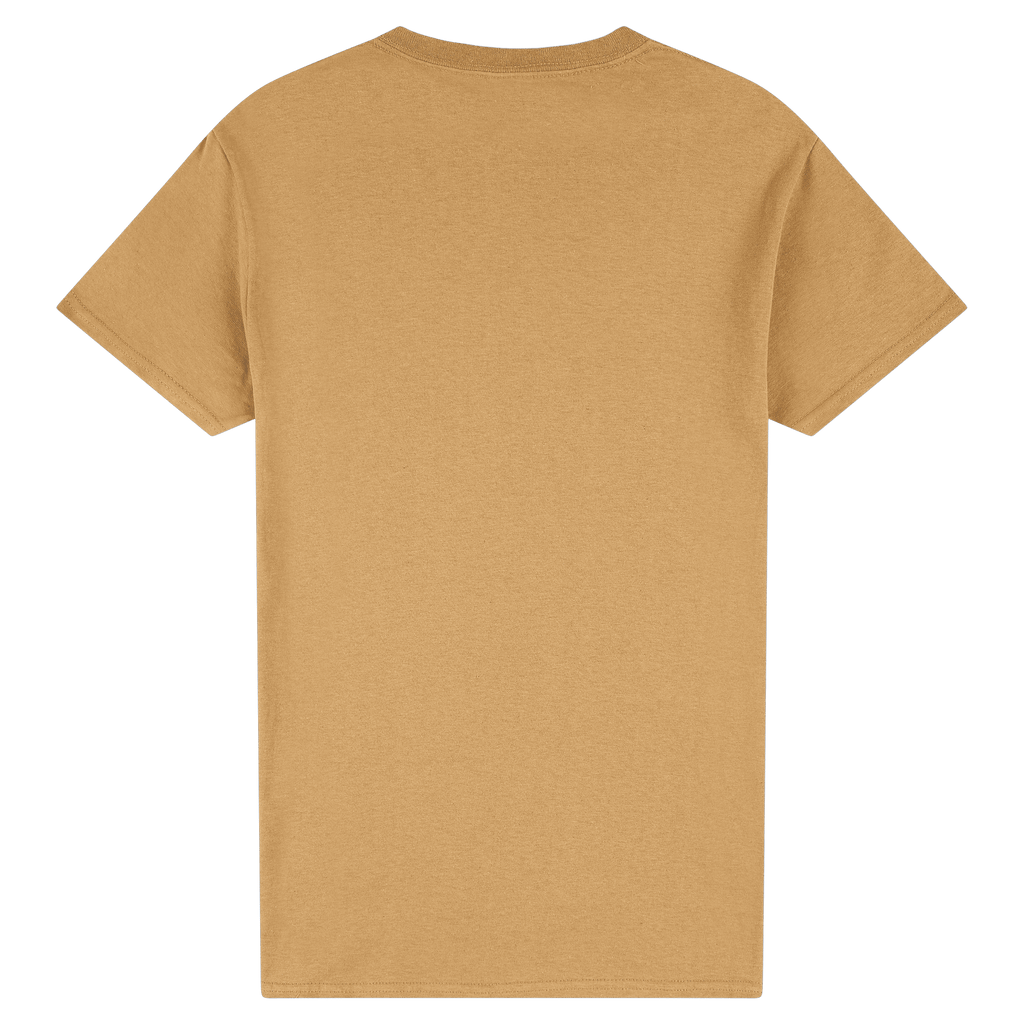 2000 Gildan Ultra Cotton Adult T-Shirt