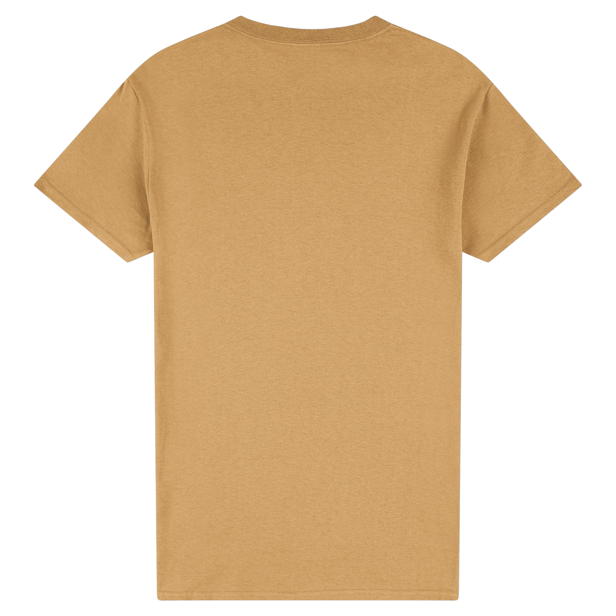 2000 Gildan Ultra Cotton Adult T-Shirt