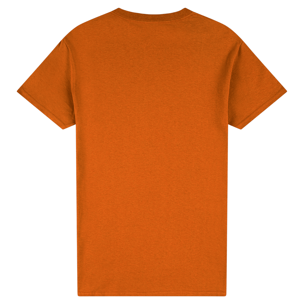 2000 Gildan Ultra Cotton Adult T-Shirt
