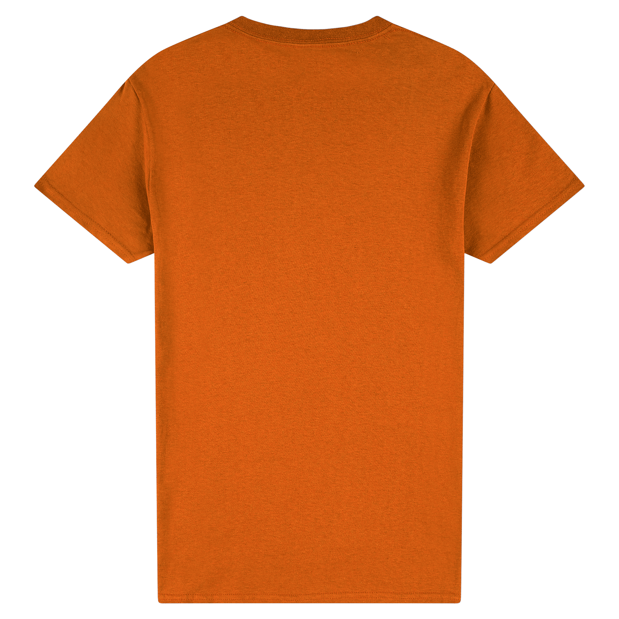 2000 Gildan Ultra Cotton Adult T-Shirt