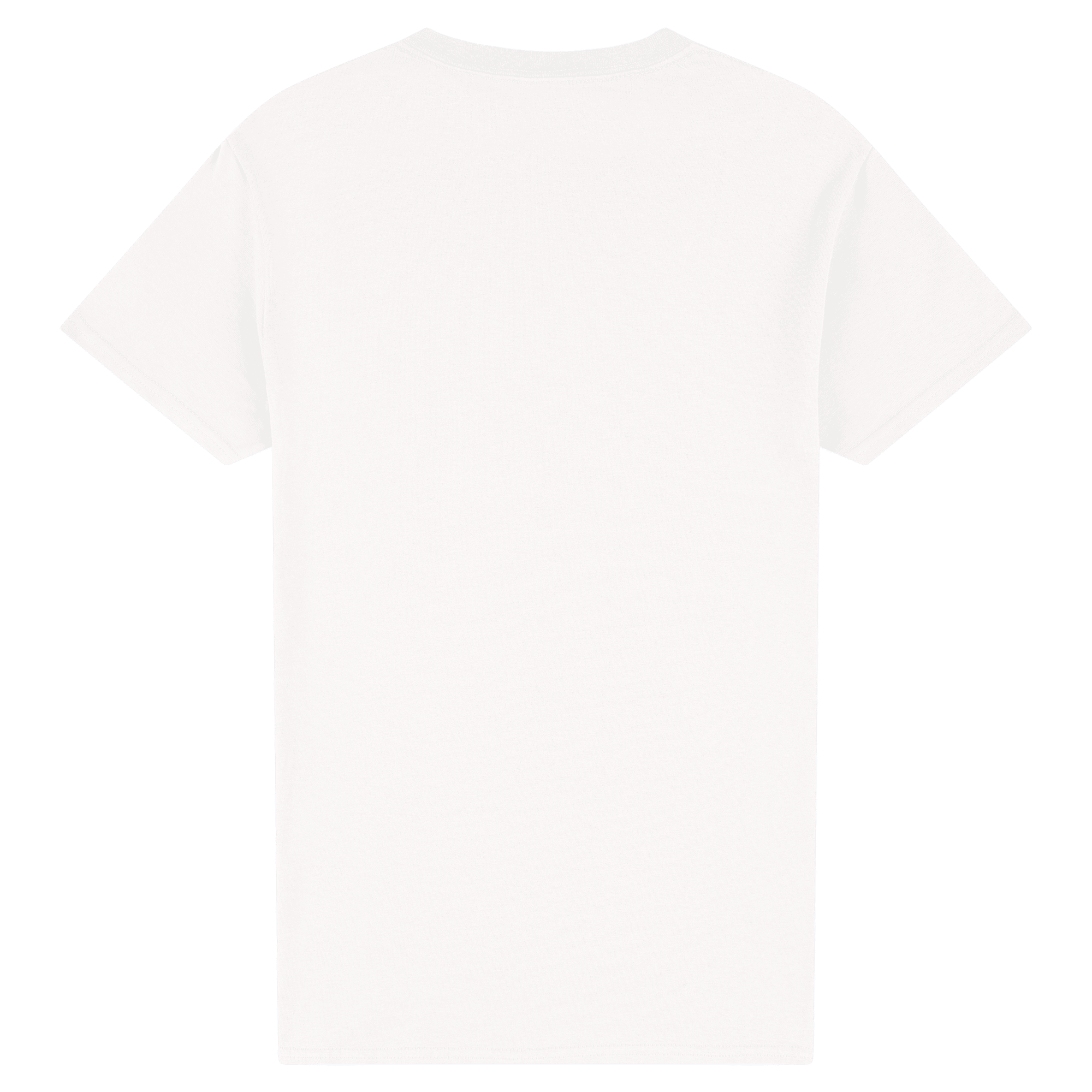 2000 Gildan Ultra Cotton Adult T-Shirt