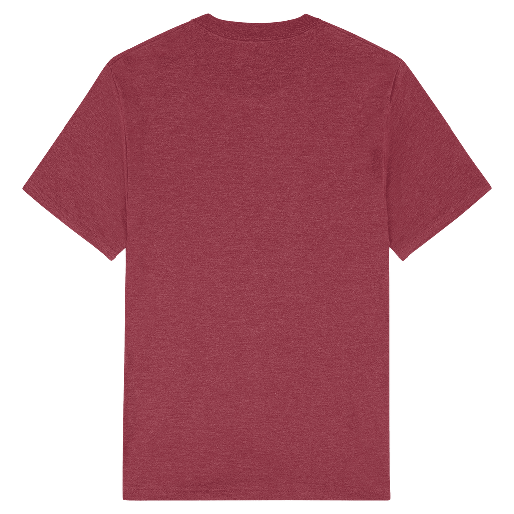 2001CVC American Apparel Unisex CVC Short Sleeve T-Shirt