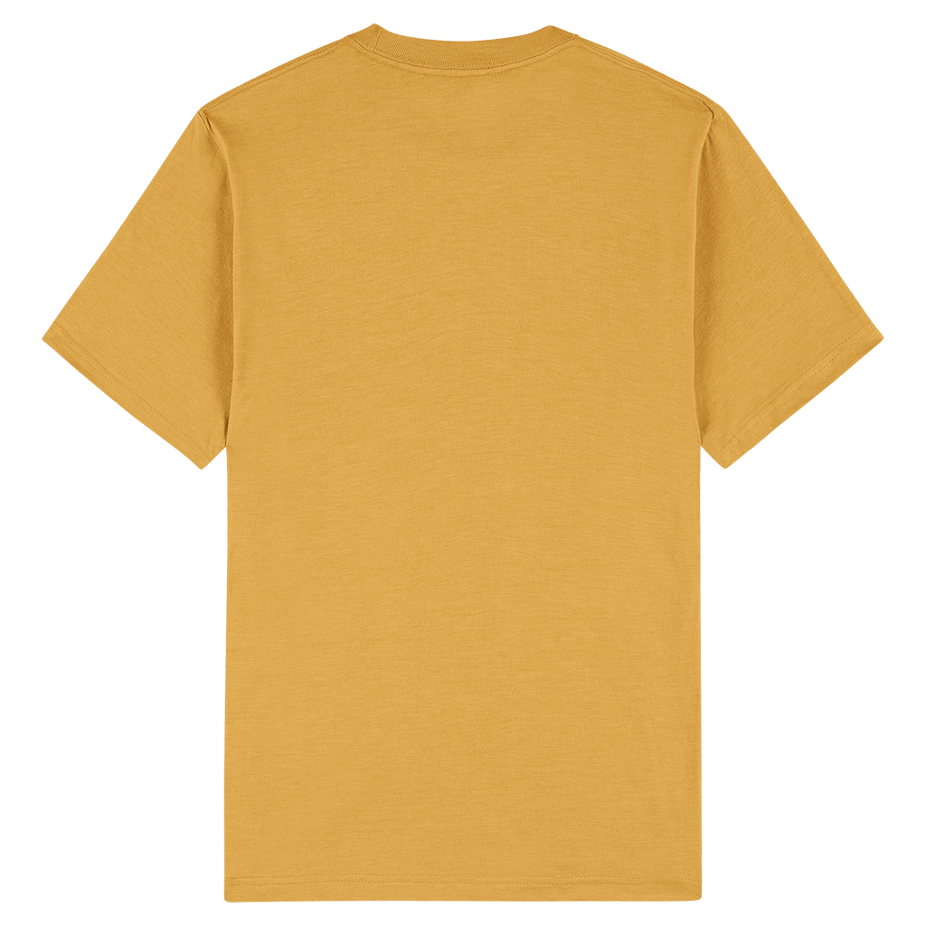 2001CVC American Apparel Unisex CVC Short Sleeve T-Shirt