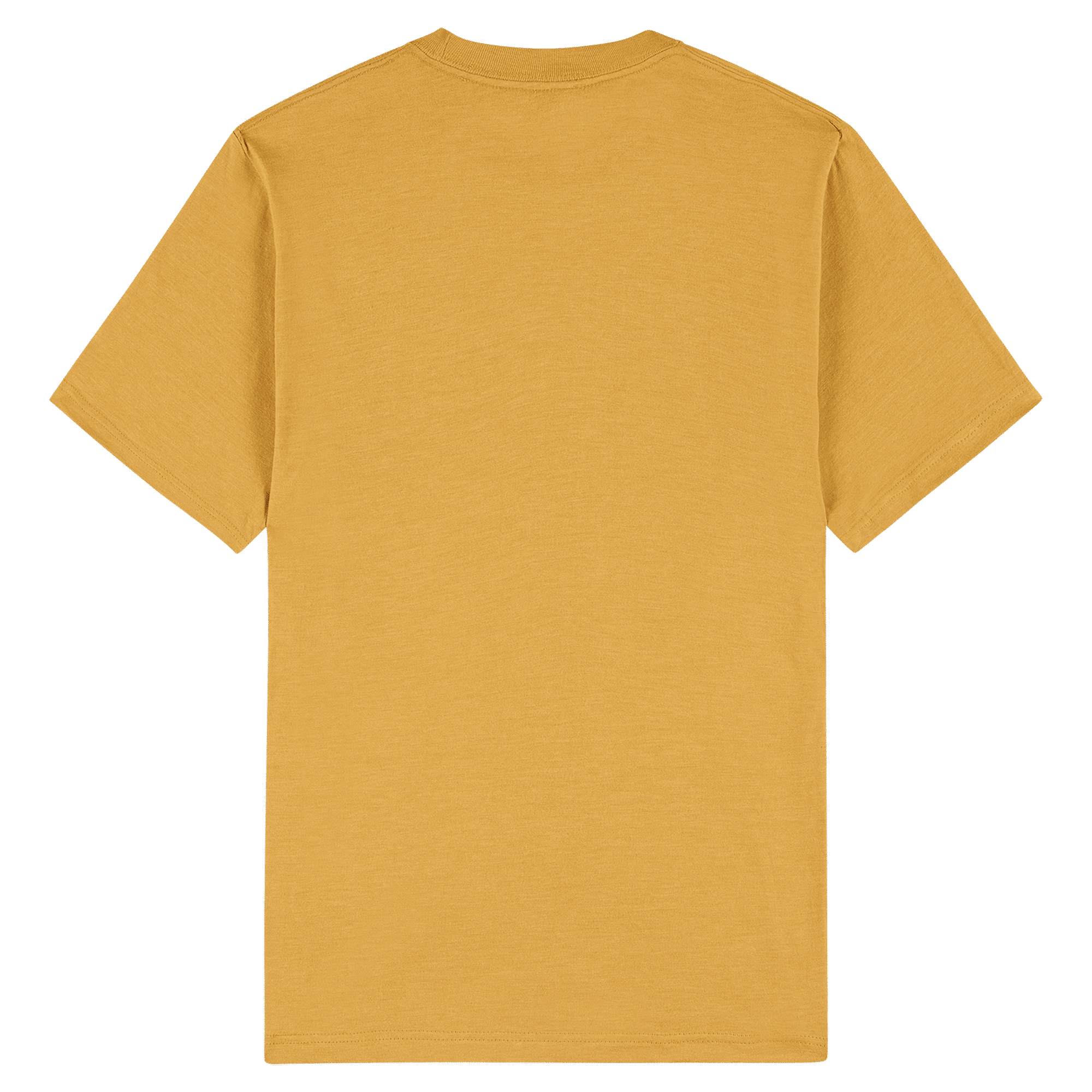 2001CVC American Apparel Unisex CVC Short Sleeve T-Shirt