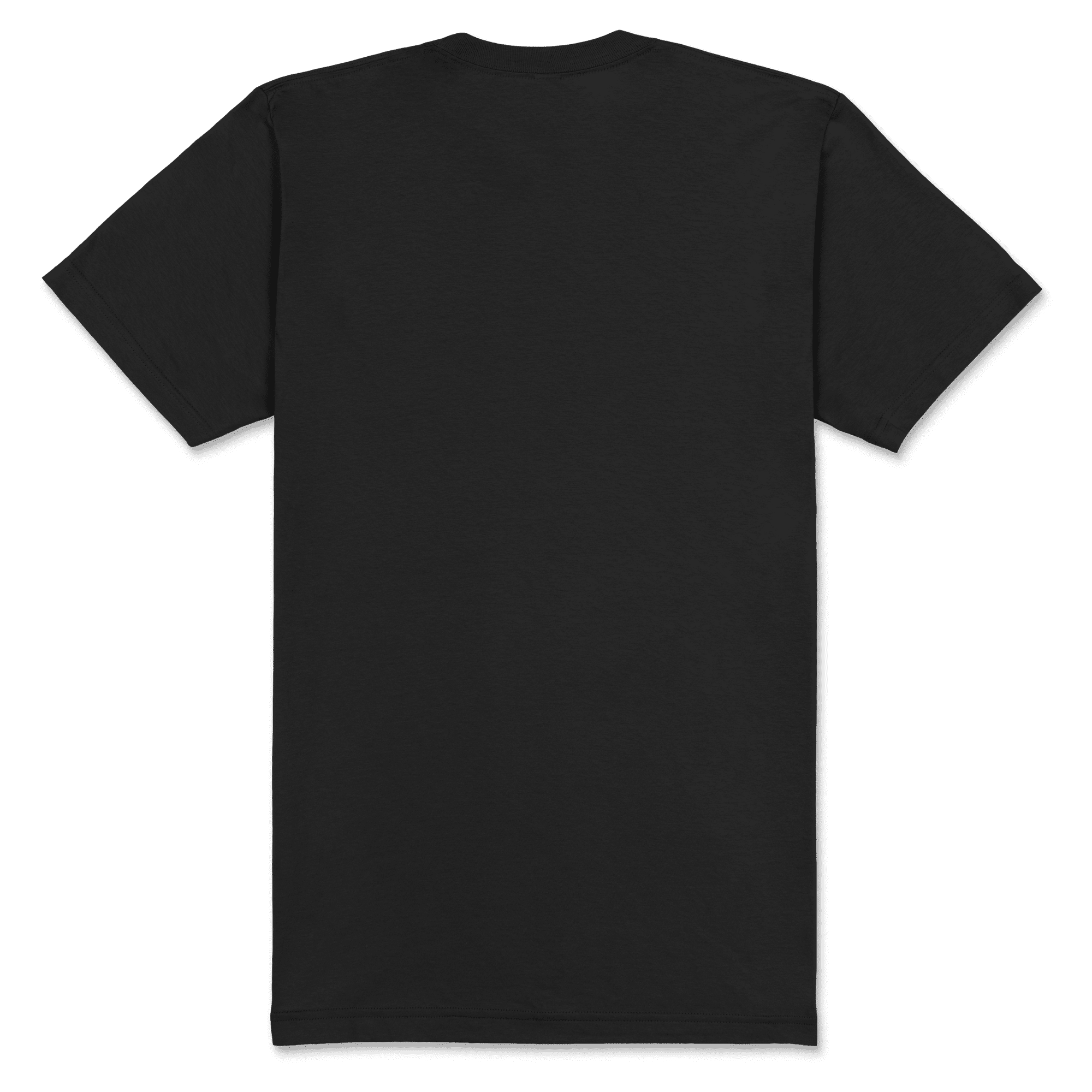 2001 American Apparel Unisex Fine Jersey Short Sleeve T-Shirt