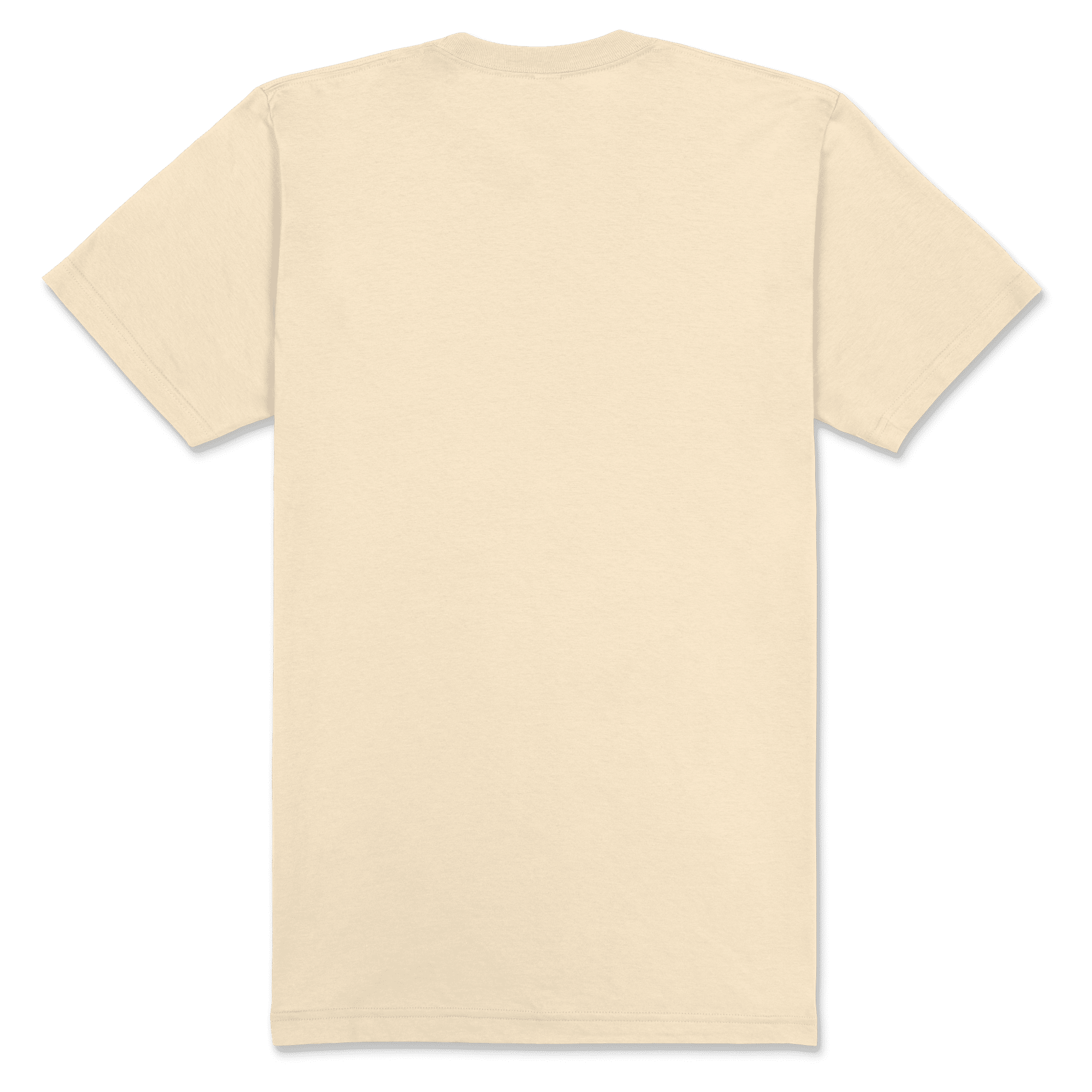 2001 American Apparel Unisex Fine Jersey Short Sleeve T-Shirt