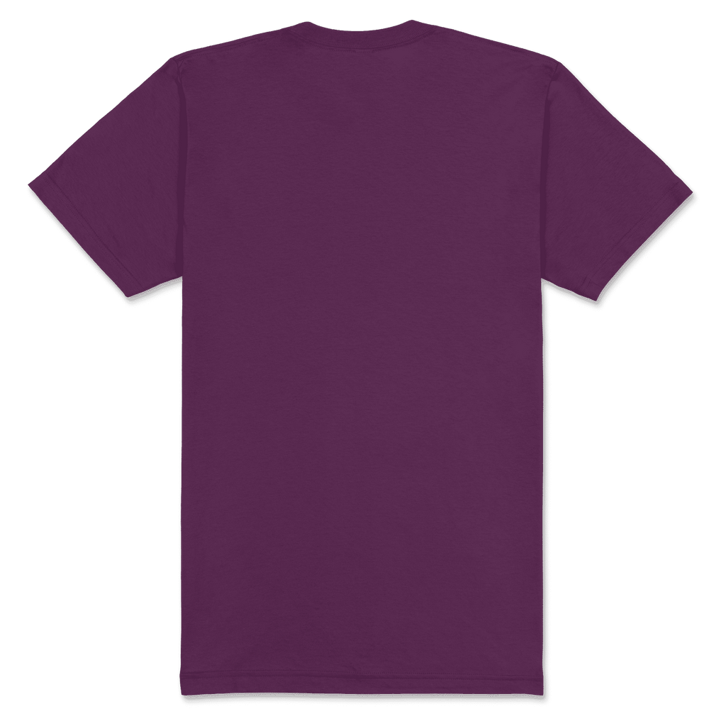 2001 American Apparel Unisex Fine Jersey Short Sleeve T-Shirt