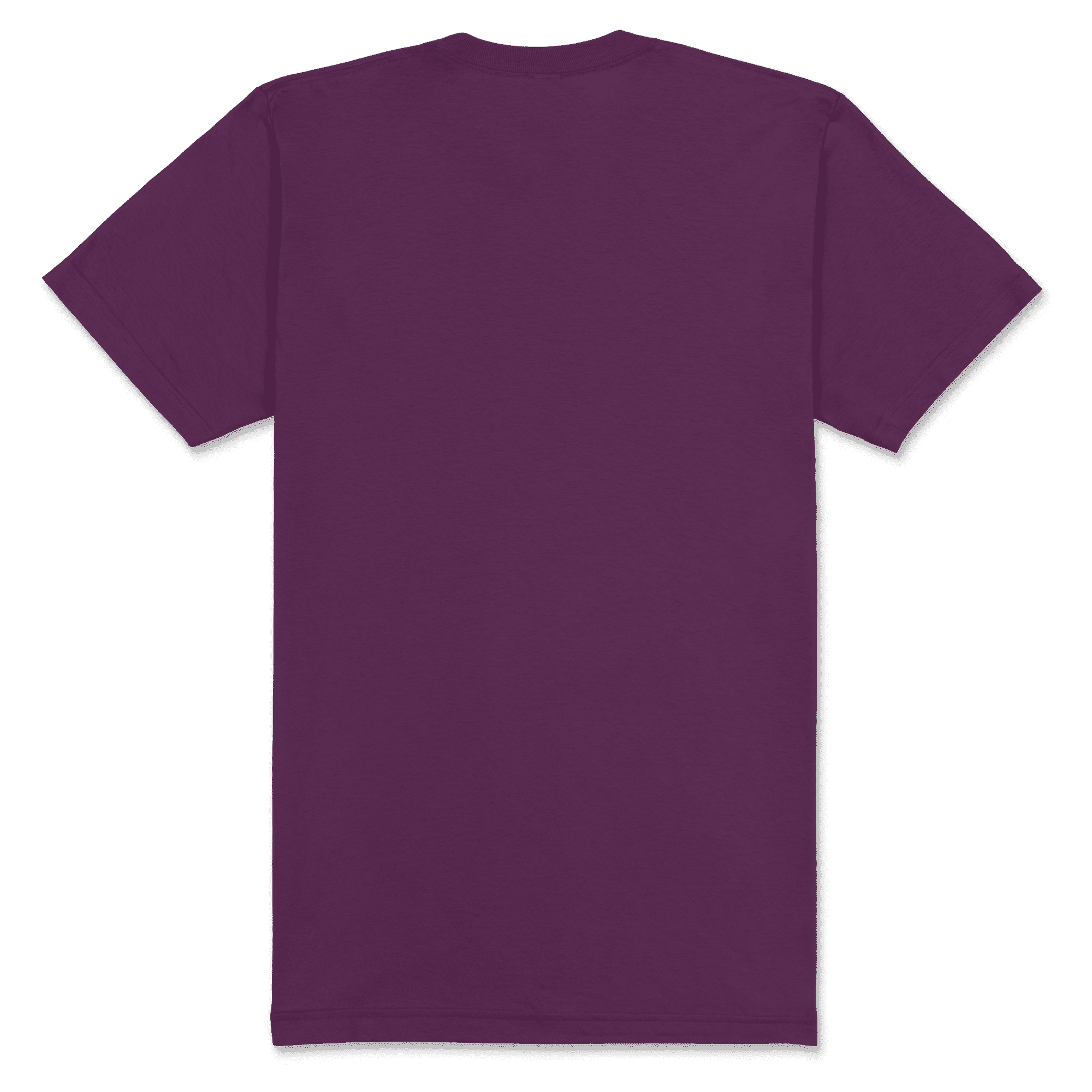 2001 American Apparel Unisex Fine Jersey Short Sleeve T-Shirt