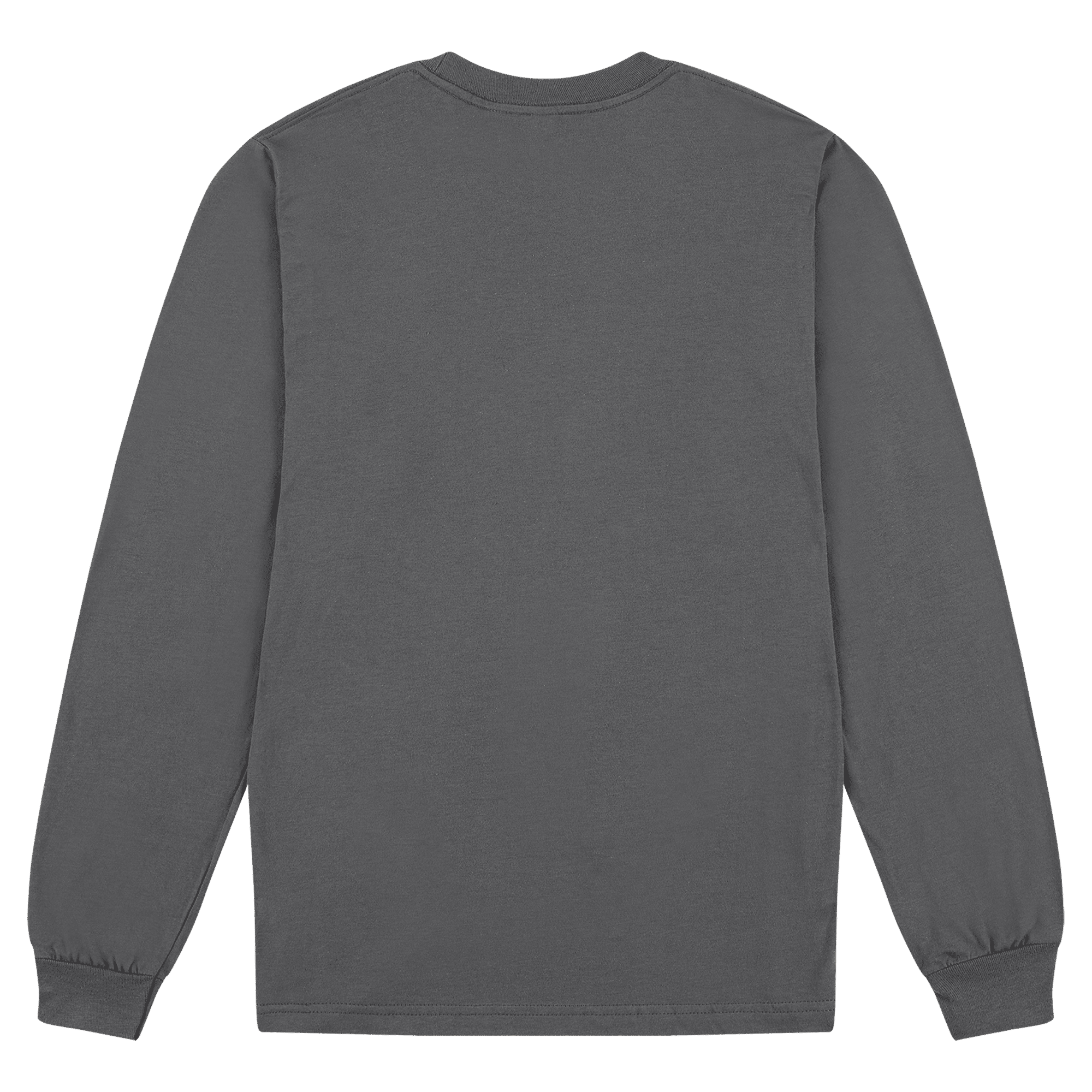 2007W American Apparel Cotton Long Sleeve Fine Jersey T-shirt