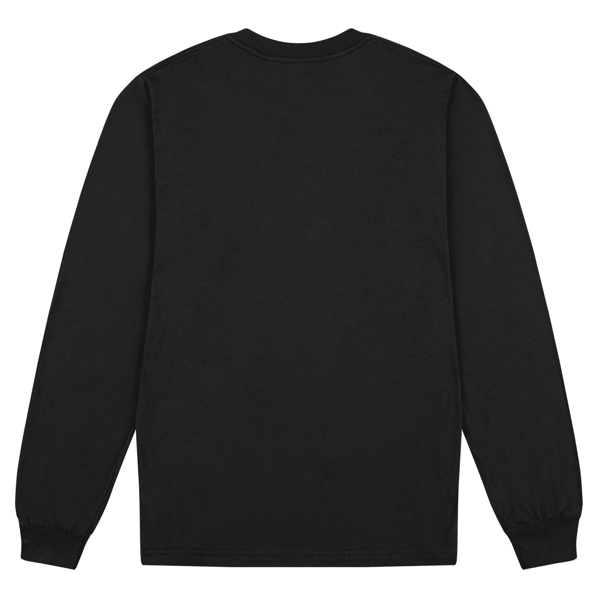 2007W American Apparel Cotton Long Sleeve Fine Jersey T-shirt