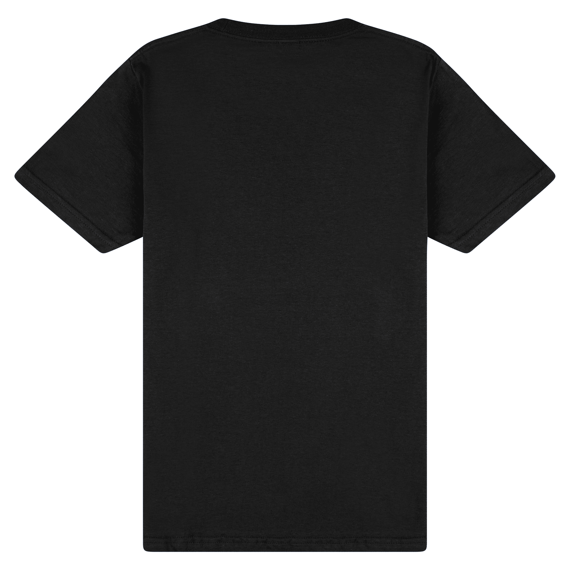 65000 Gildan Softstyle Adult Midweight T-Shirt