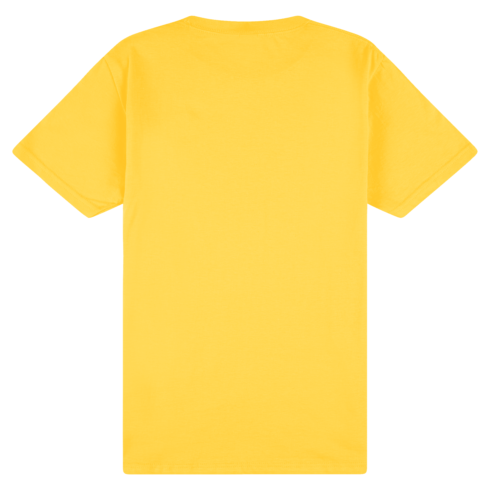 65000 Gildan Softstyle Adult Midweight T-Shirt