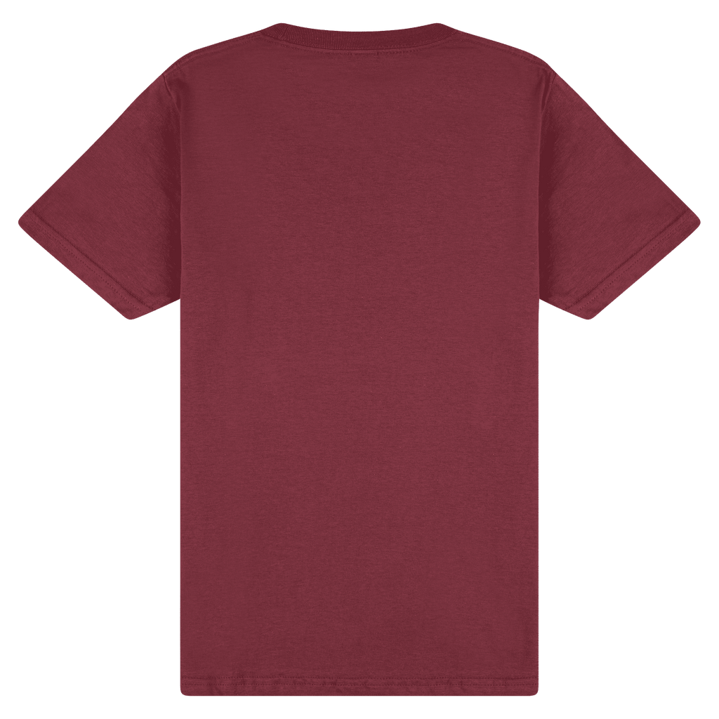 65000 Gildan Softstyle Adult Midweight T-Shirt