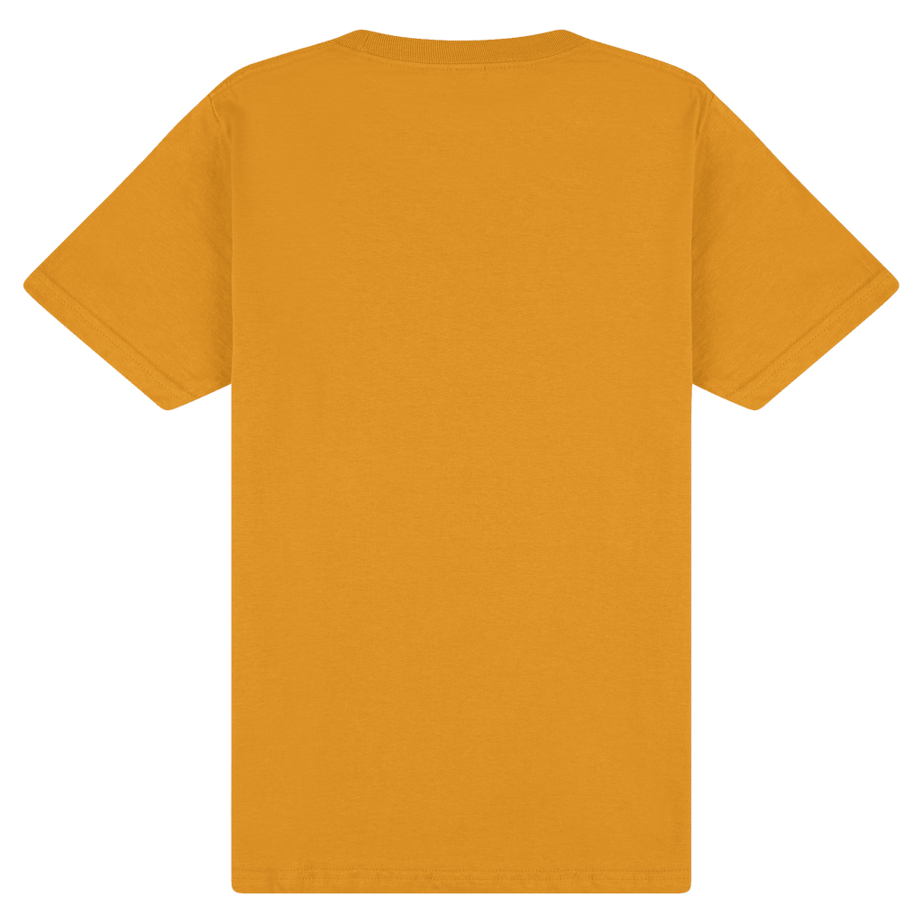 65000 Gildan Softstyle Adult Midweight T-Shirt