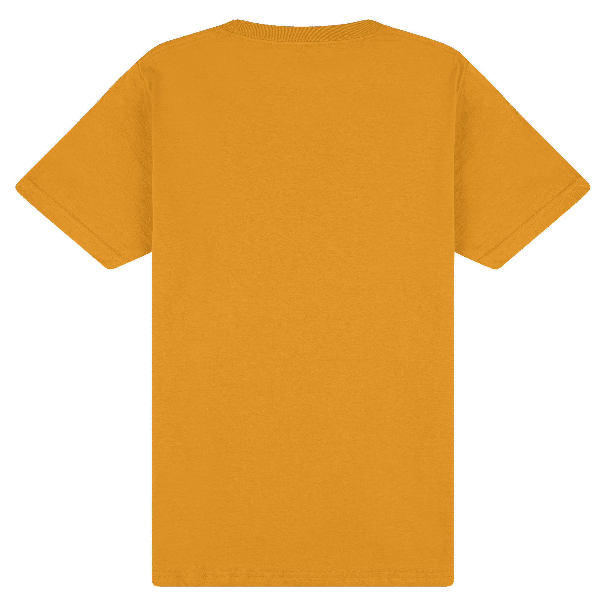65000 Gildan Softstyle Adult Midweight T-Shirt