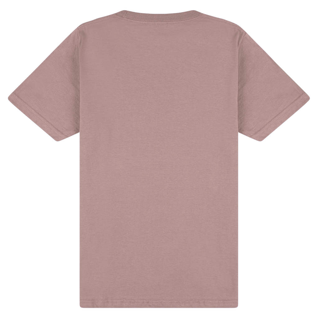 65000 Gildan Softstyle Adult Midweight T-Shirt