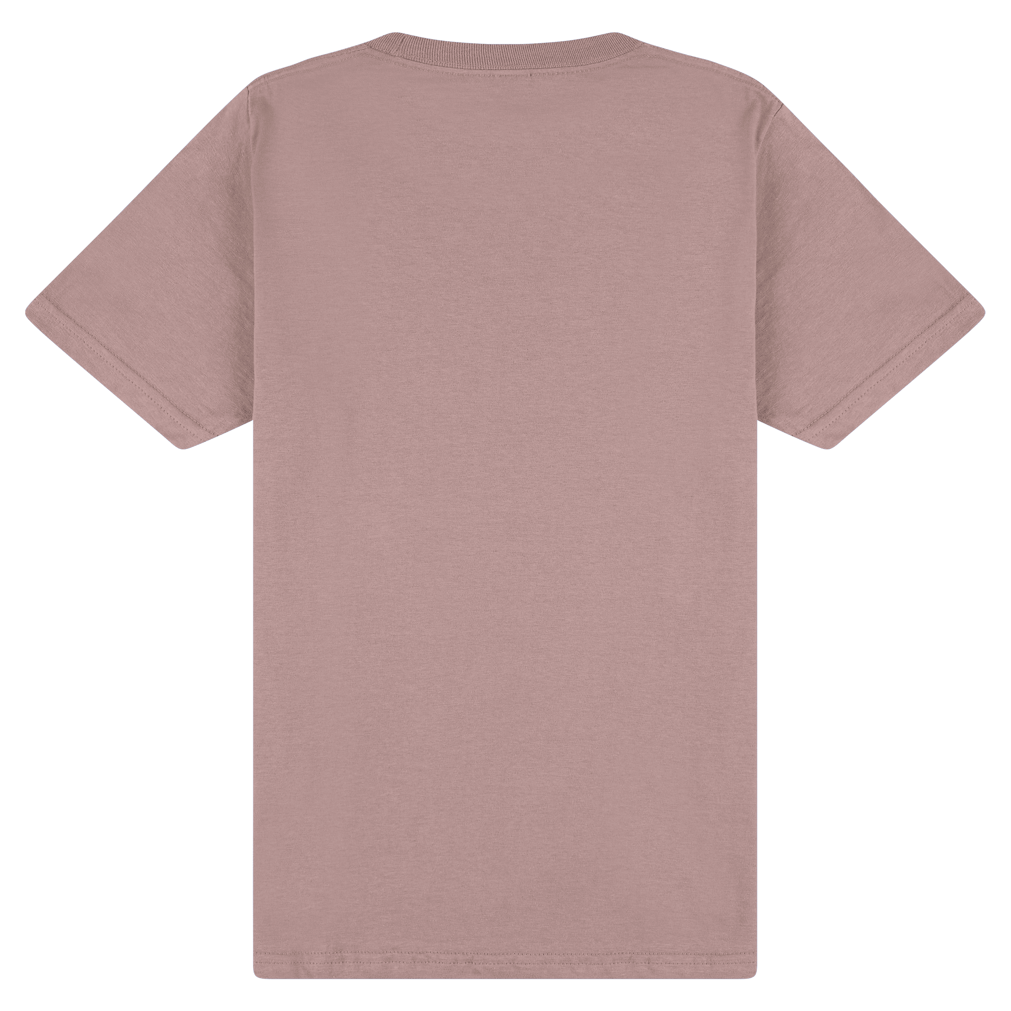 65000 Gildan Softstyle Adult Midweight T-Shirt