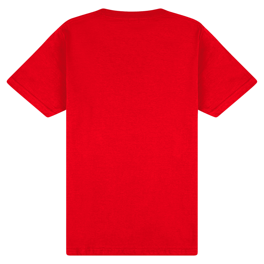 65000 Gildan Softstyle Adult Midweight T-Shirt