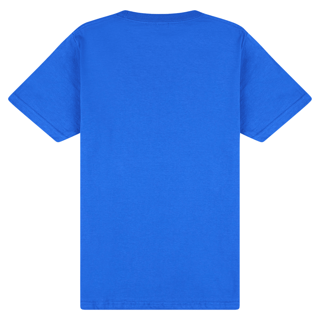 65000 Gildan Softstyle Adult Midweight T-Shirt