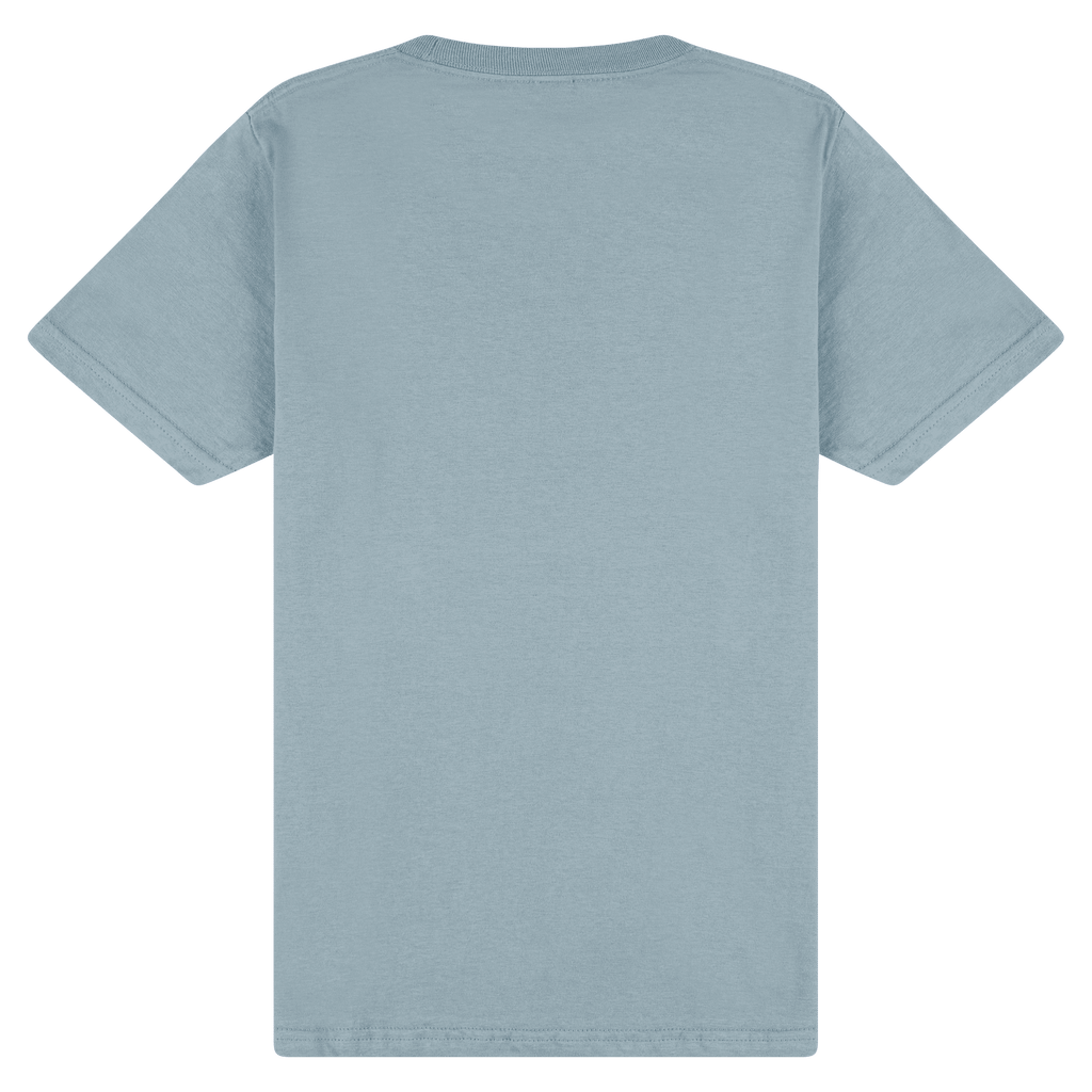 65000 Gildan Softstyle Adult Midweight T-Shirt