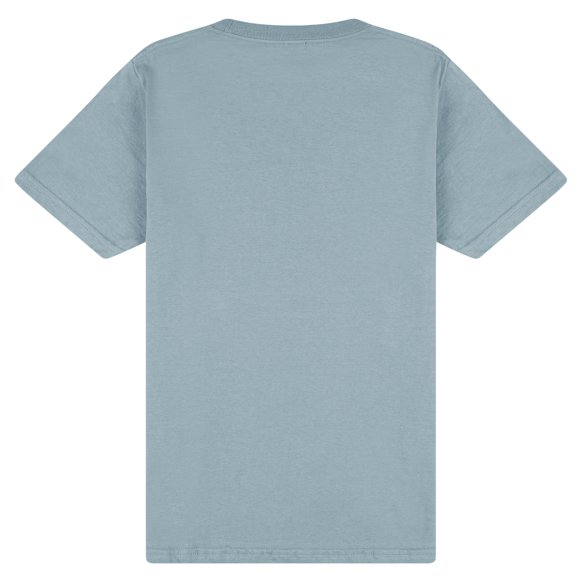 65000 Gildan Softstyle Adult Midweight T-Shirt