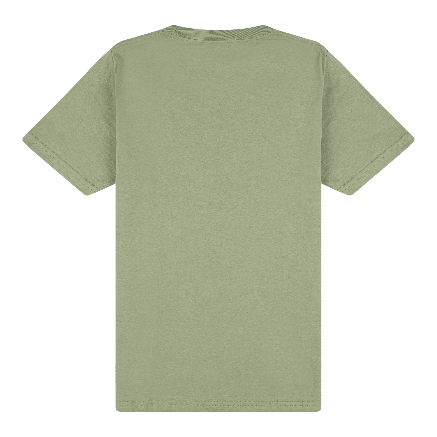 65000 Gildan Softstyle Adult Midweight T-Shirt