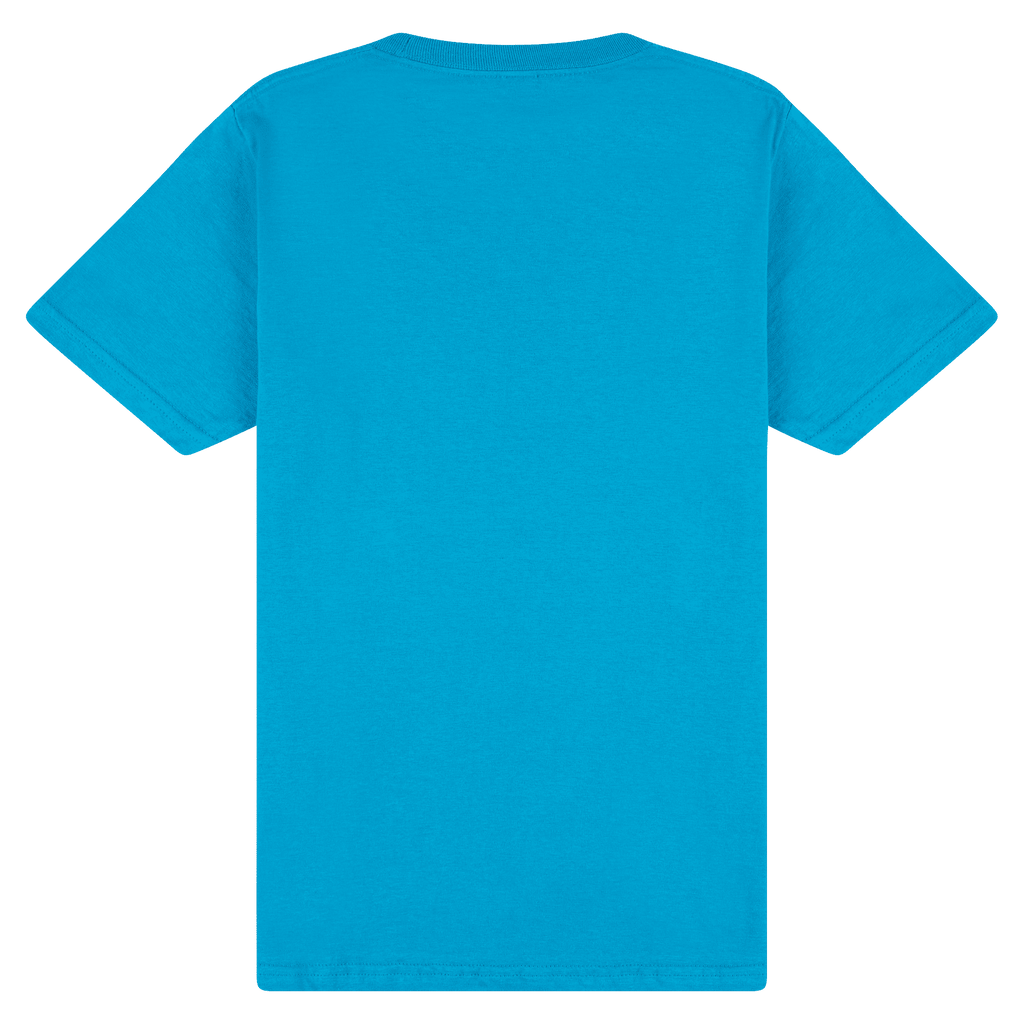 65000 Gildan Softstyle Adult Midweight T-Shirt