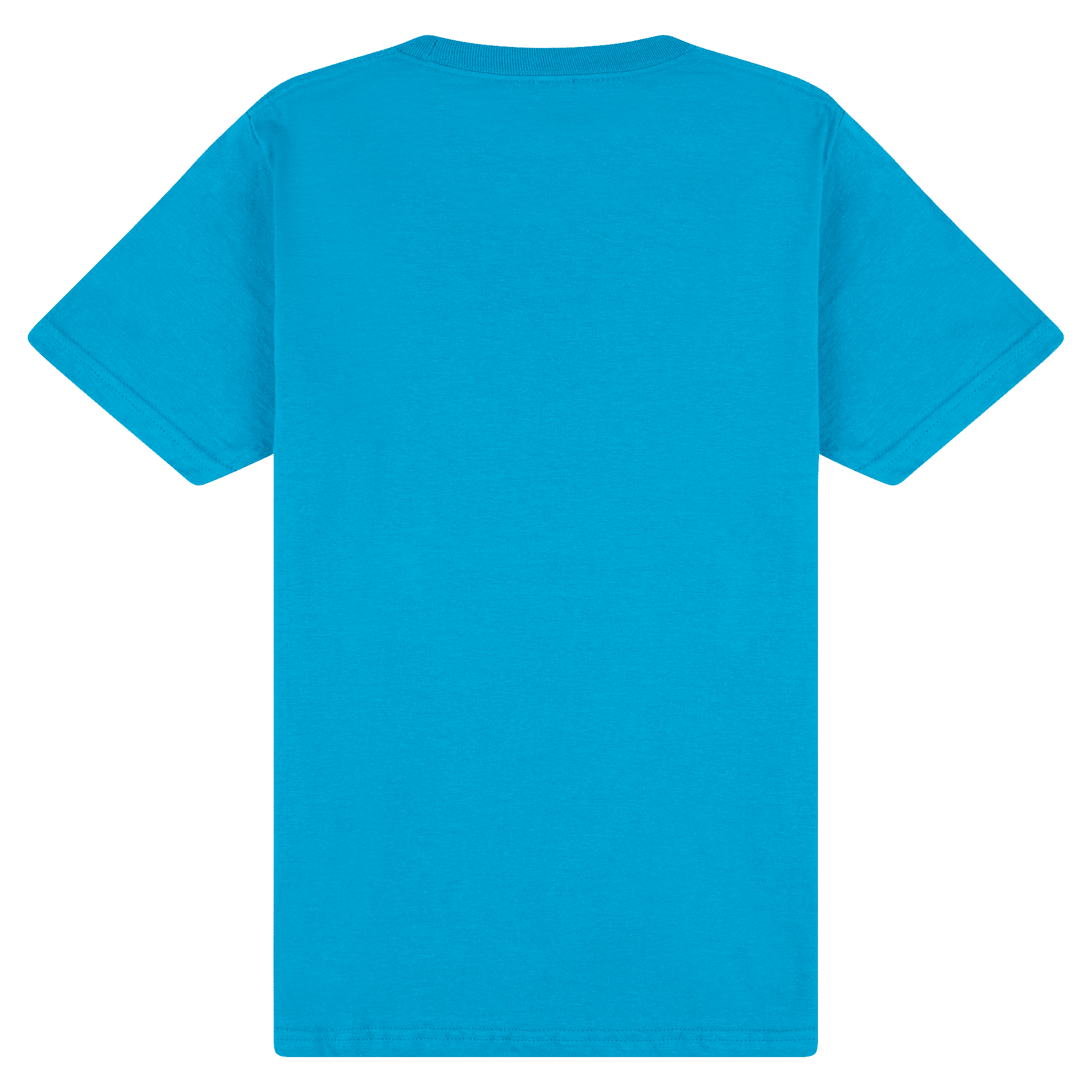 65000 Gildan Softstyle Adult Midweight T-Shirt