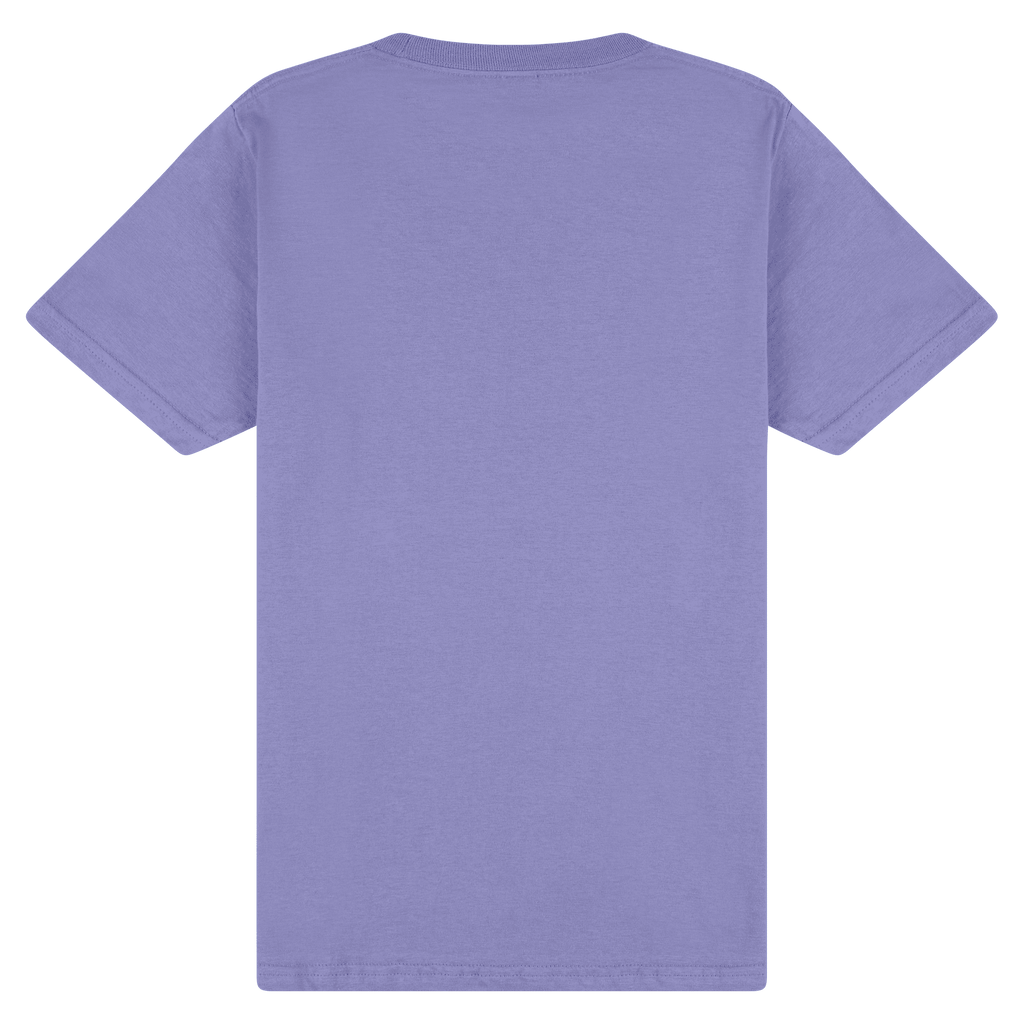 65000 Gildan Softstyle Adult Midweight T-Shirt