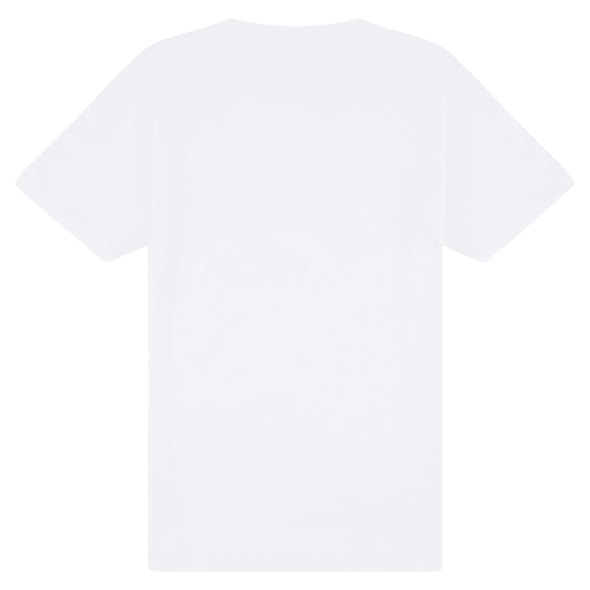 65000 Gildan Softstyle Adult Midweight T-Shirt